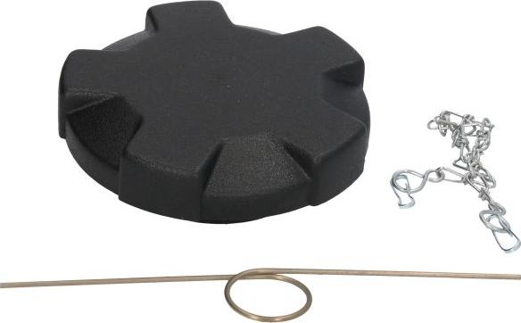 FEBI Bilstein 06288 - Sealing Cap, fuel tank car-mod.net