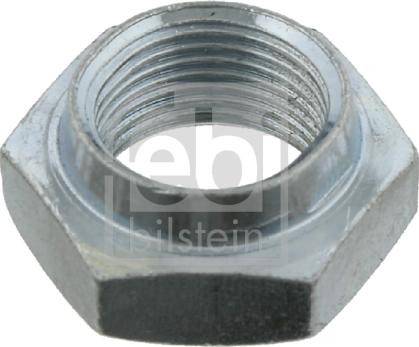 Febi Bilstein 02160 - Nut, stub axle car-mod.net