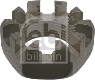 Febi Bilstein 02817 - Nut, stub axle car-mod.net