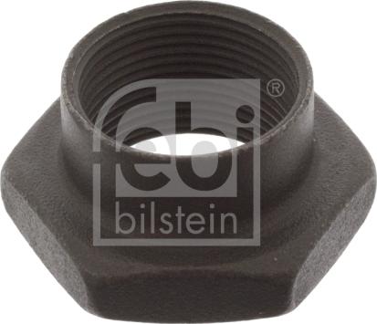 Febi Bilstein 02229 - Nut, stub axle car-mod.net