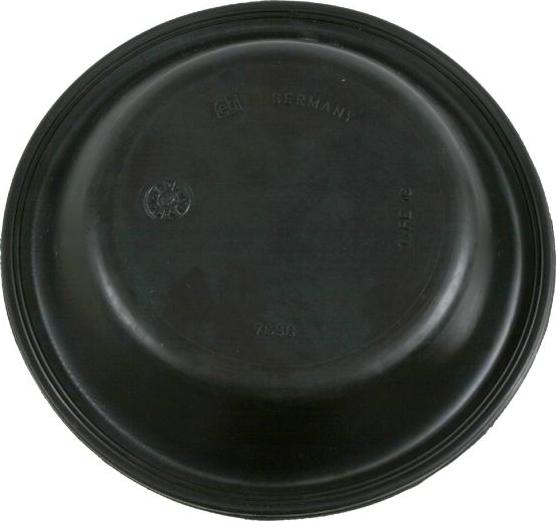 Febi Bilstein 07096 - Diaphragm, diaphragm brake cylinder car-mod.net