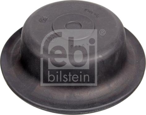 Febi Bilstein 07101 - Diaphragm, diaphragm brake cylinder car-mod.net