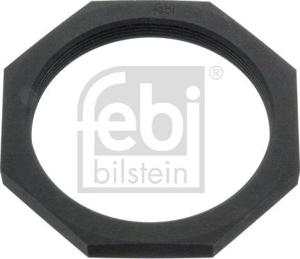FEBI Bilstein 196869 - Nut, stub axle car-mod.net