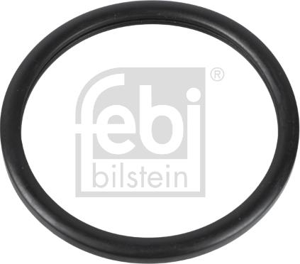 Febi Bilstein 10255 - Gasket, thermostat car-mod.net