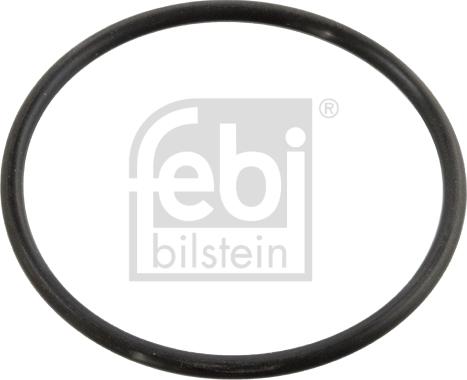 Febi Bilstein 10258 - Gasket, thermostat car-mod.net