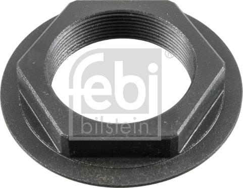 Febi Bilstein 181119 - Nut, stub axle car-mod.net