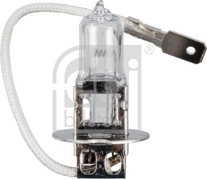 Febi Bilstein 173276 - Bulb, fog light car-mod.net