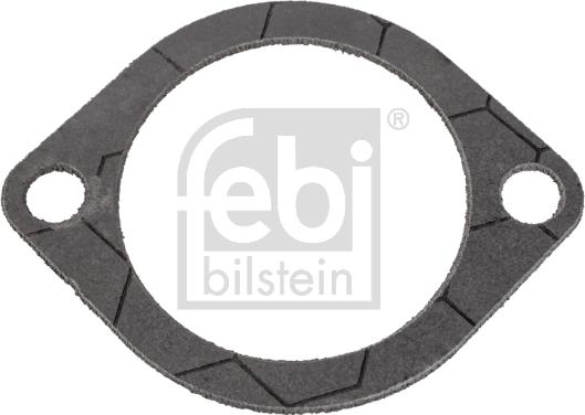 Febi Bilstein 172462 - Gasket, thermostat car-mod.net
