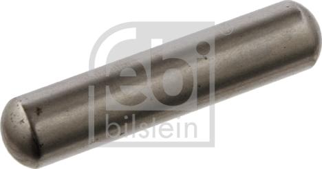 Febi Bilstein 30483 - Adjusting Bolt, braking system car-mod.net