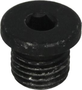 Febi Bilstein 38788 - Sealing Plug, oil sump car-mod.net