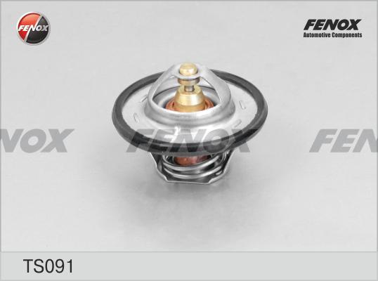 Fenox TS091 - Coolant thermostat / housing car-mod.net