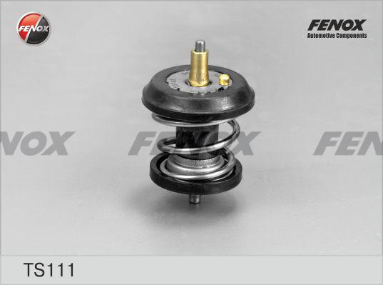Fenox TS111 - Coolant thermostat / housing car-mod.net
