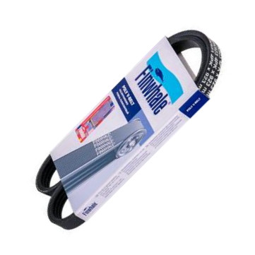 Finwhale BP4PK923 - V-Ribbed Belt car-mod.net