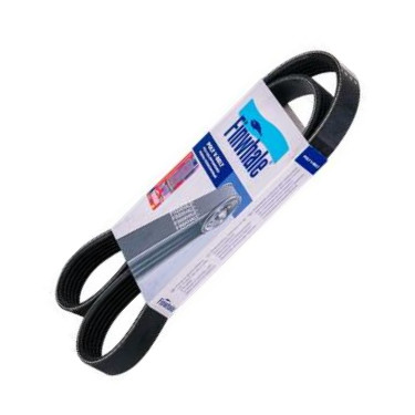 Finwhale BP6123 - V-Ribbed Belt car-mod.net