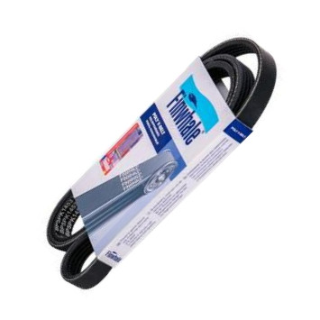 Finwhale BP5PK1453 - V-Ribbed Belt car-mod.net