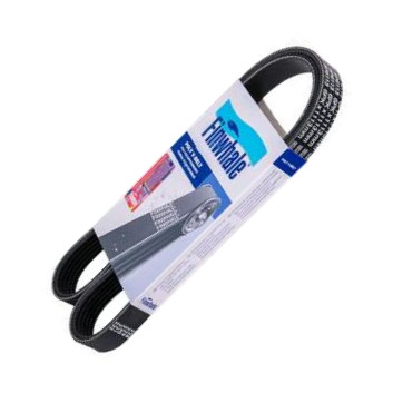 Finwhale BP6113 - V-Ribbed Belt car-mod.net
