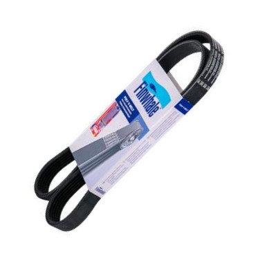 Finwhale BP625 - V-Ribbed Belt car-mod.net