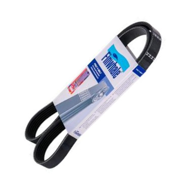 Finwhale BP6PK1203 - V-Ribbed Belt car-mod.net