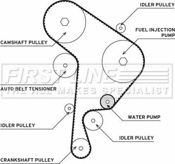 First Line FTW1005 - Water Pump & Timing Belt Set car-mod.net
