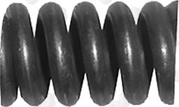 Fonos 86119 - Spring, silencer car-mod.net