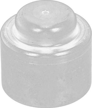 FORD 1096277 - Pilot Bearing, clutch car-mod.net