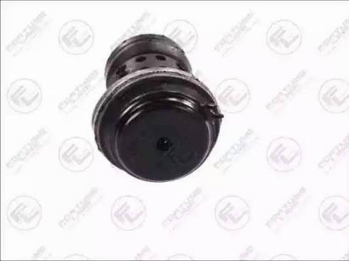 Fortune Line FZ9925 - Holder, engine mounting car-mod.net
