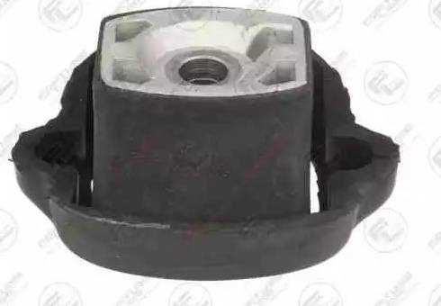 Fortune Line FZ91217 - Holder, engine mounting car-mod.net