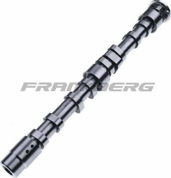 FRANKBERG 5481FB0008154 - Camshaft car-mod.net