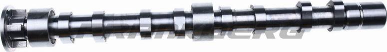 FRANKBERG 5481FB0008155 - Camshaft car-mod.net
