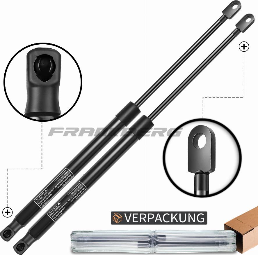 CARRO 063008305 - Gas Spring, boot, cargo area car-mod.net