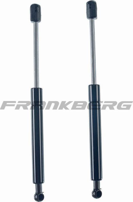 FRANKBERG 5481FB0013867 - Gas Spring, boot, cargo area car-mod.net