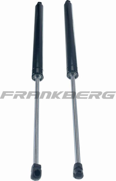 FRANKBERG 5481FB0013810 - Gas Spring, boot, cargo area car-mod.net