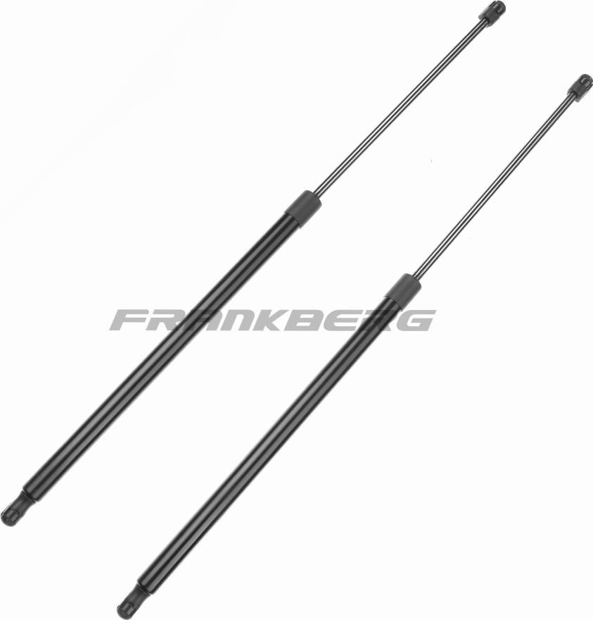 FRANKBERG 5481FB0013363 - Gas Spring, boot, cargo area car-mod.net