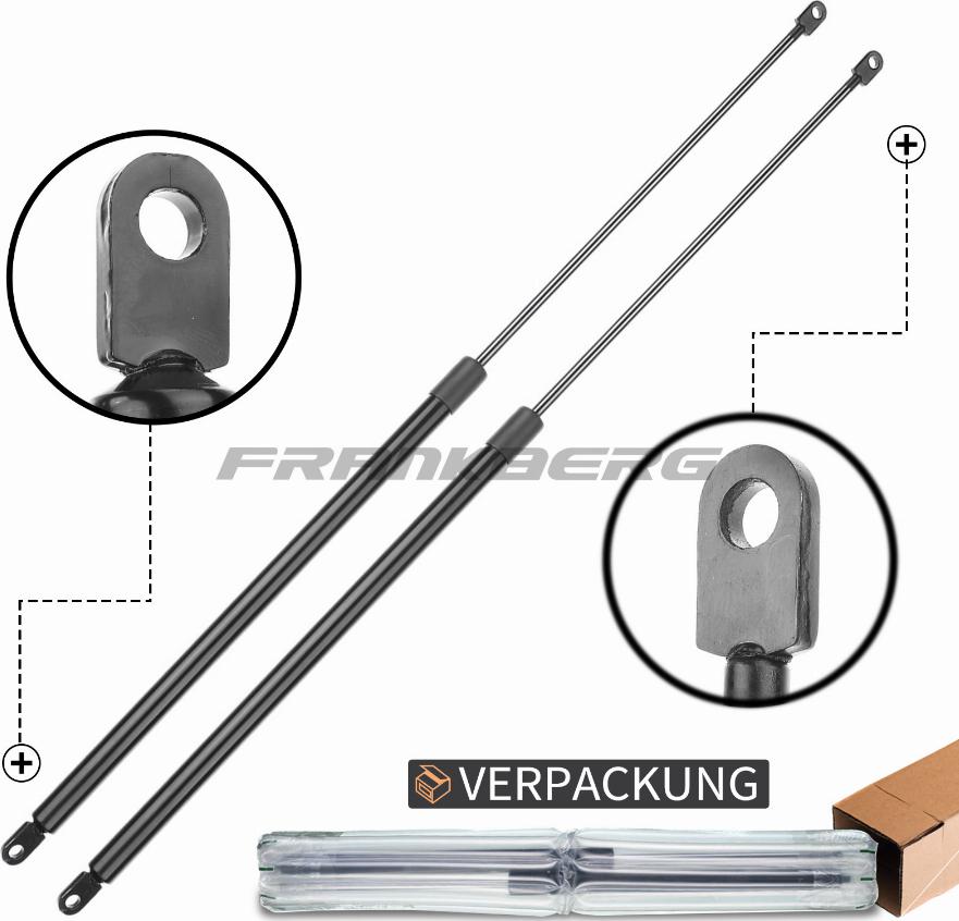 CARRO 608008205 - Gas Spring, bonnet car-mod.net