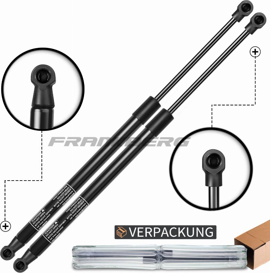 CARRO 020808300 - Gas Spring, boot, cargo area car-mod.net