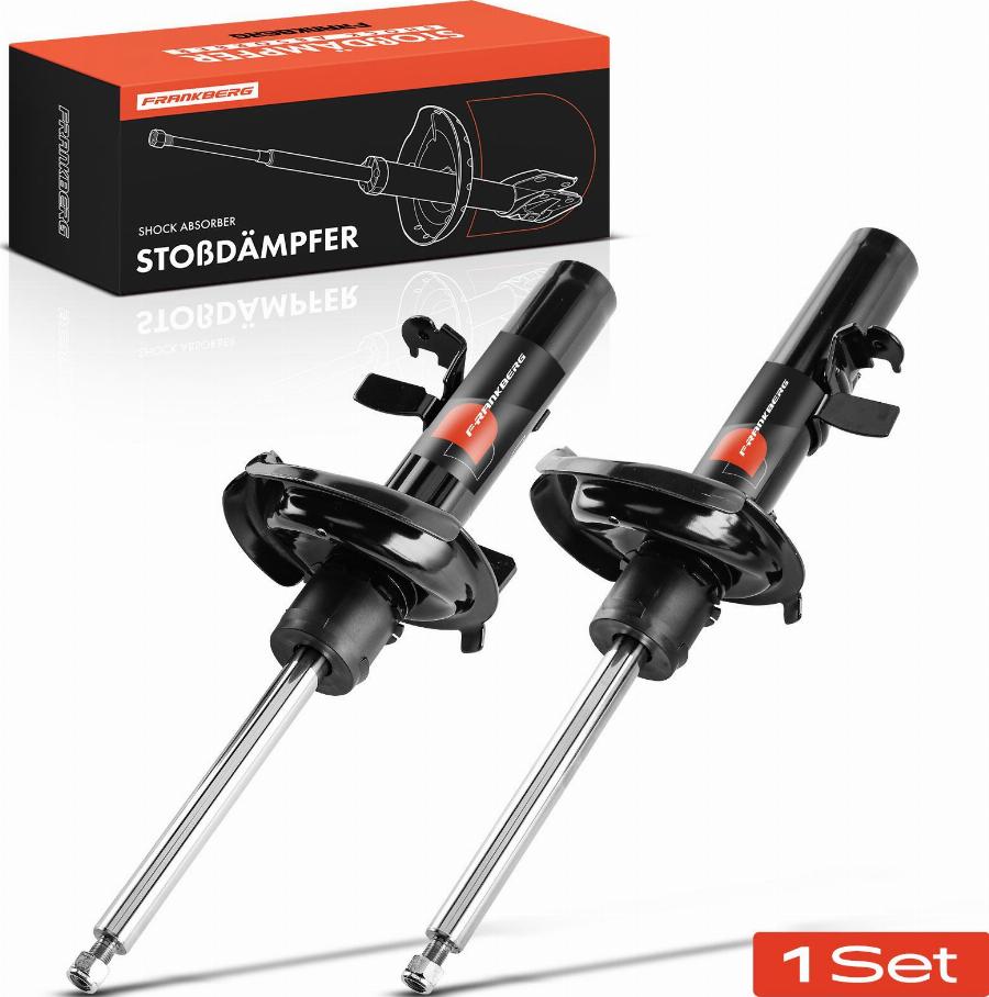 FRANKBERG 5481FB0025383 - Shock Absorber car-mod.net