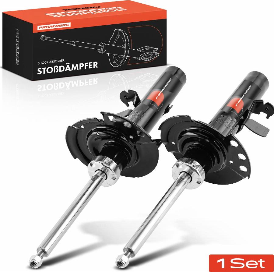 FRANKBERG 5481FB0025382 - Shock Absorber car-mod.net