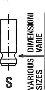 Freccia R6434/BMCR - Inlet Valve car-mod.net