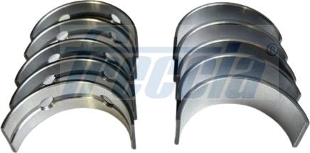Freccia MB19-101407 - Crankshaft Bearing Set car-mod.net