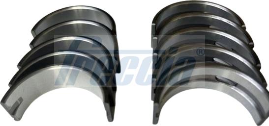 Freccia MB19-103200 - Crankshaft Bearing Set car-mod.net