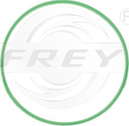 FREY 800500501 - Gasket, thermostat car-mod.net