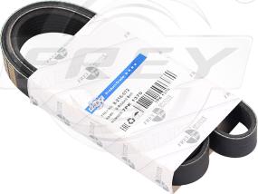 FREY 821607201 - V-Ribbed Belt car-mod.net