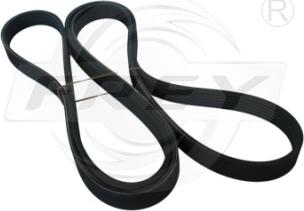 FREY 721617001 - V-Ribbed Belt car-mod.net