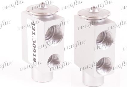 Frigair 431.30919 - Injector Nozzle, expansion valve car-mod.net