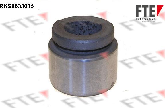 FTE 9313042 - Piston, brake caliper car-mod.net