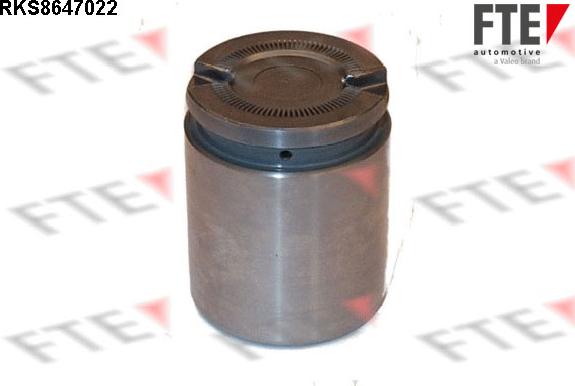 FTE 9313081 - Piston, brake caliper car-mod.net