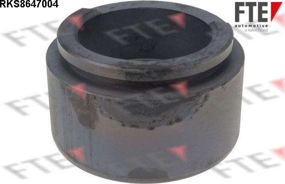 FTE 9313075 - Piston, brake caliper car-mod.net