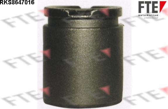 FTE 9313078 - Piston, brake caliper car-mod.net