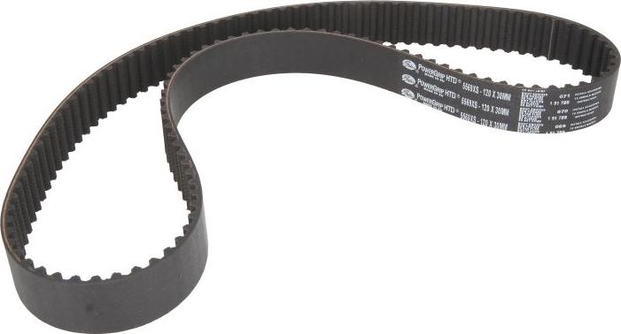 GATES 5569XS - Timing Belt car-mod.net