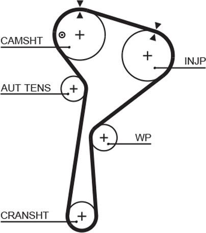 GATES 5675XS - Timing Belt car-mod.net